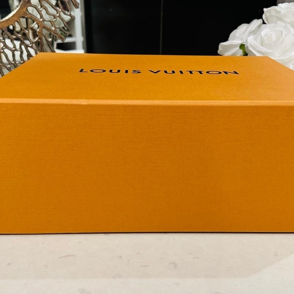 Empty Box Original Louis Vuitton Orange Branded Box - Picture 3 of 7